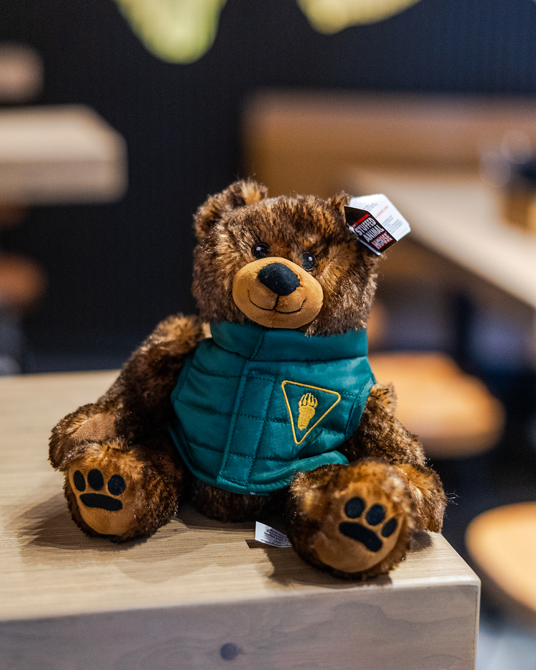 Plush Stuffed Bear