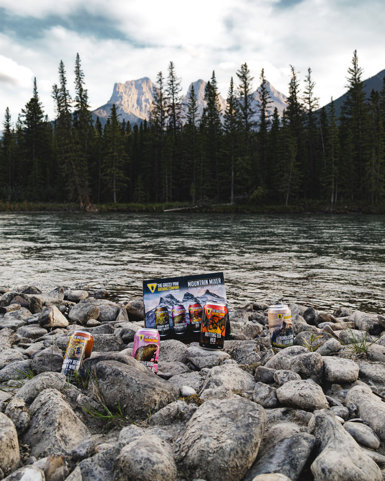 Mountain Mixer (12 x 355ml Cans)