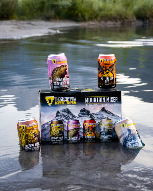 Mountain Mixer (12 x 355ml Cans)