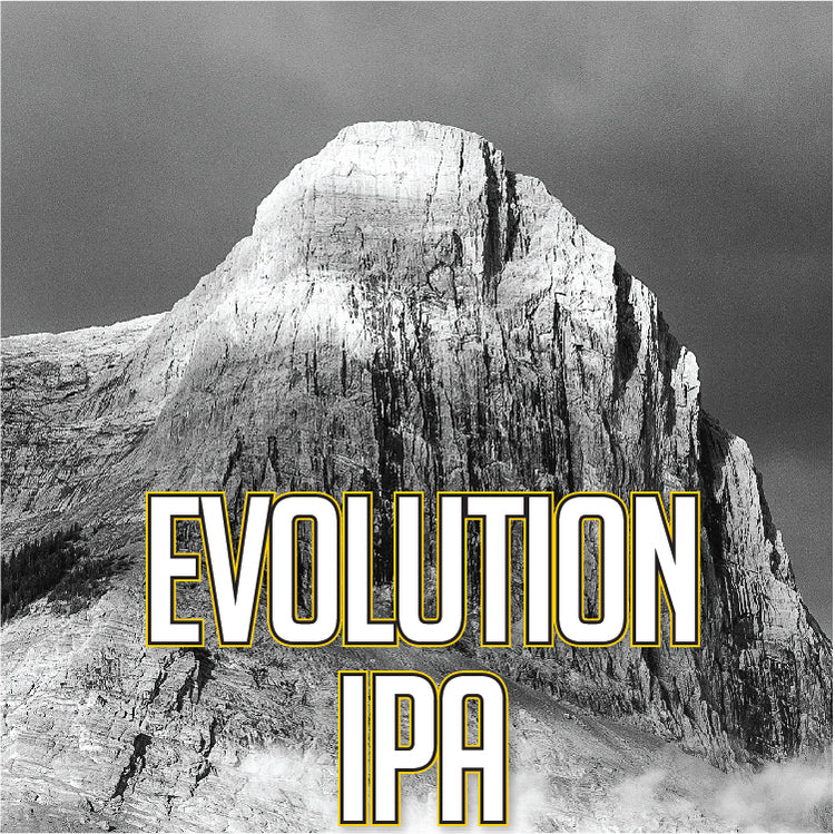 Evolution IPA (4 x 473ml Cans)