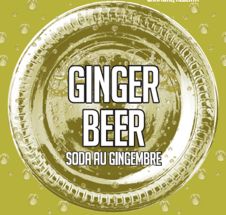Ginger Beer (6 x 355ml Cans)