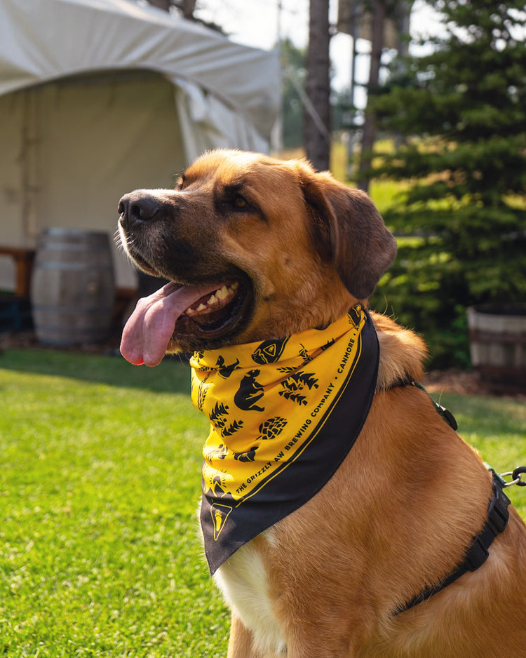 Iconic Bandana