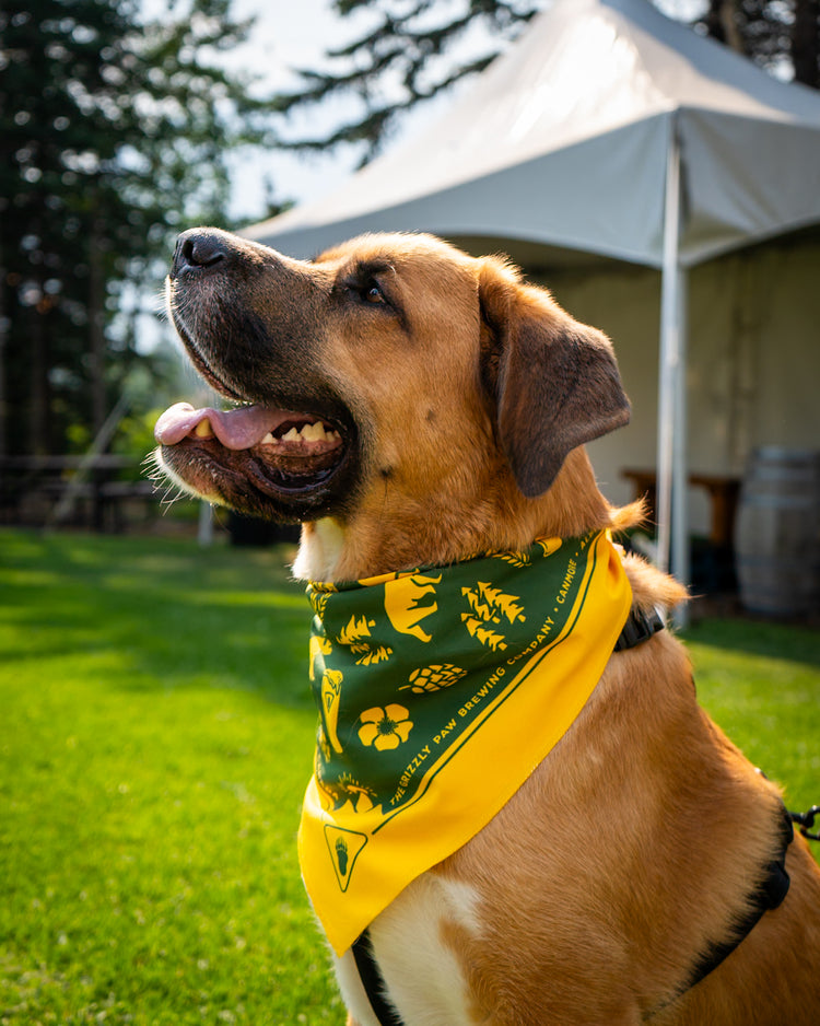 Iconic Bandana