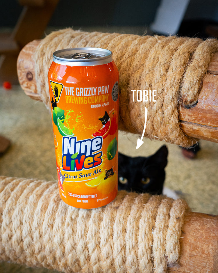 Nine Lives Citrus Sour Ale (4 x 473ml Cans)