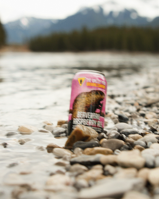 Beavertail Raspberry Ale (6 x 355ml Cans)