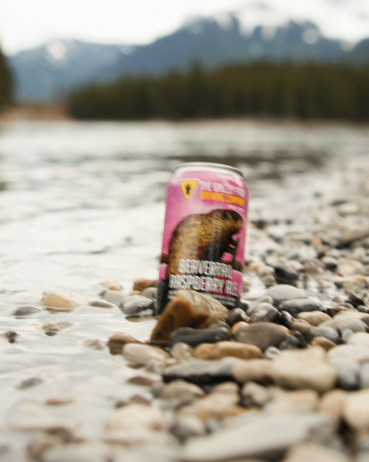 Beavertail Raspberry Ale (6 x 355ml Cans)