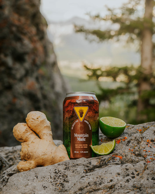 Mountain Mule (4 x 355ml Cans)